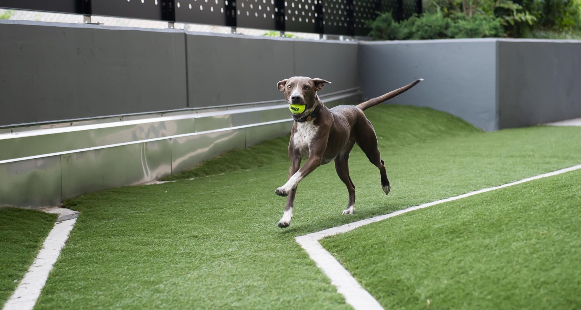 click to enlarge Umbraco.Web.PublishedCache.NuCache.Property