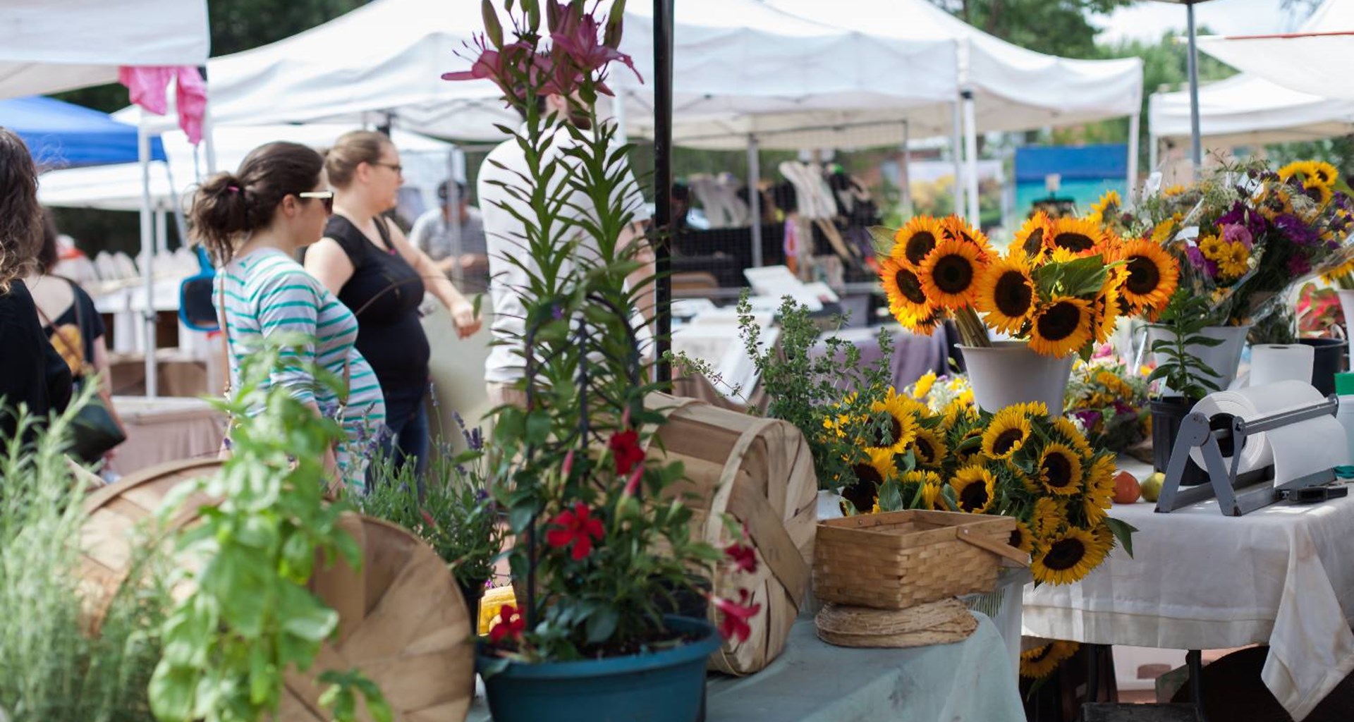 click to enlarge Umbraco.Web.PublishedCache.NuCache.Property