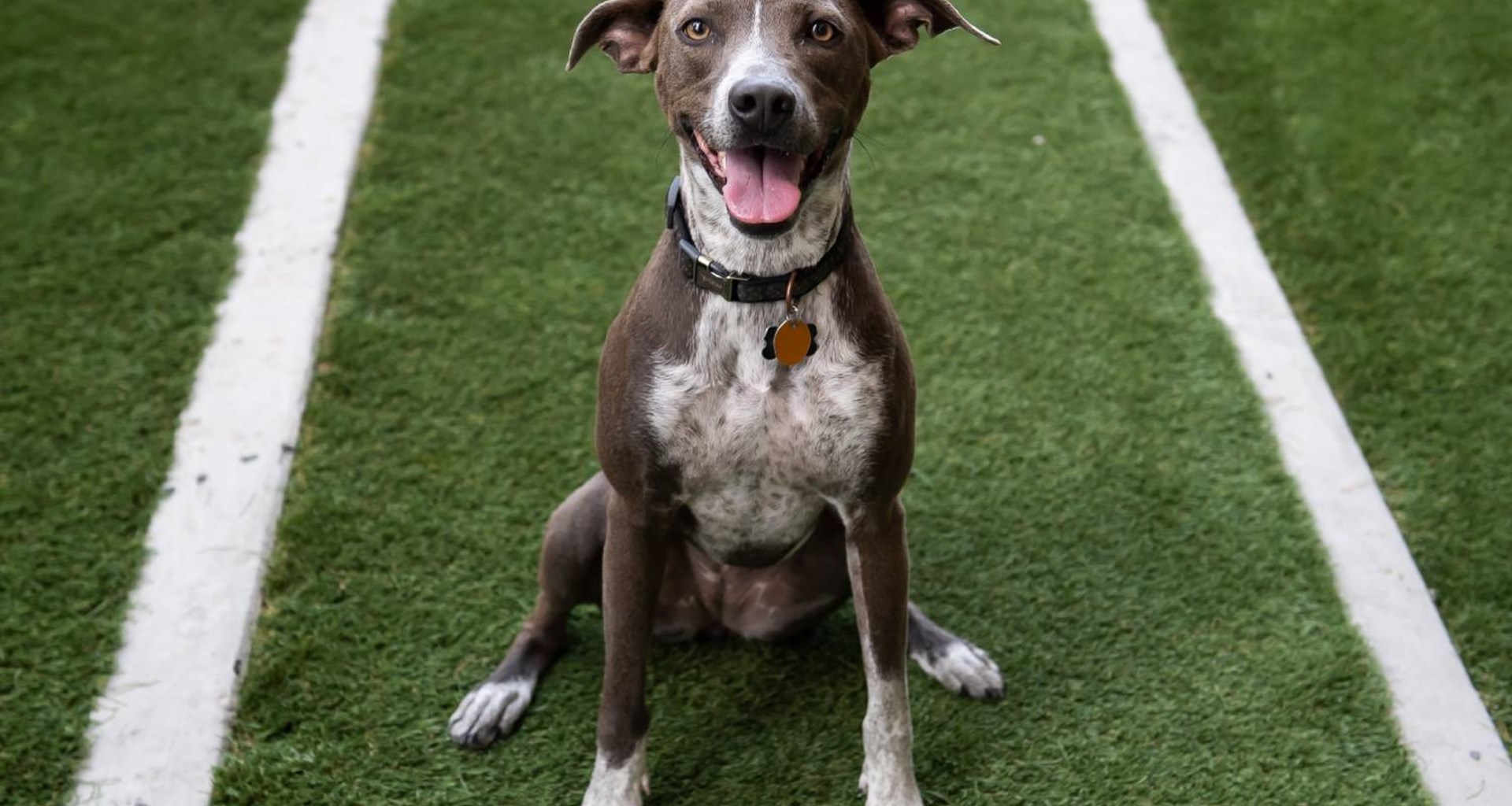 click to enlarge Umbraco.Web.PublishedCache.NuCache.Property